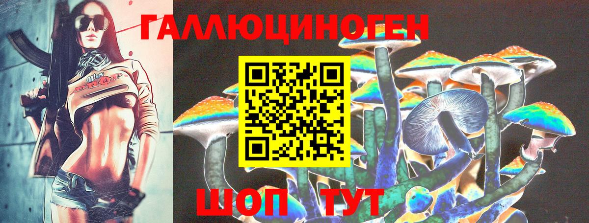 Псилоцибиновые грибы GOLDEN TEACHER Дербент